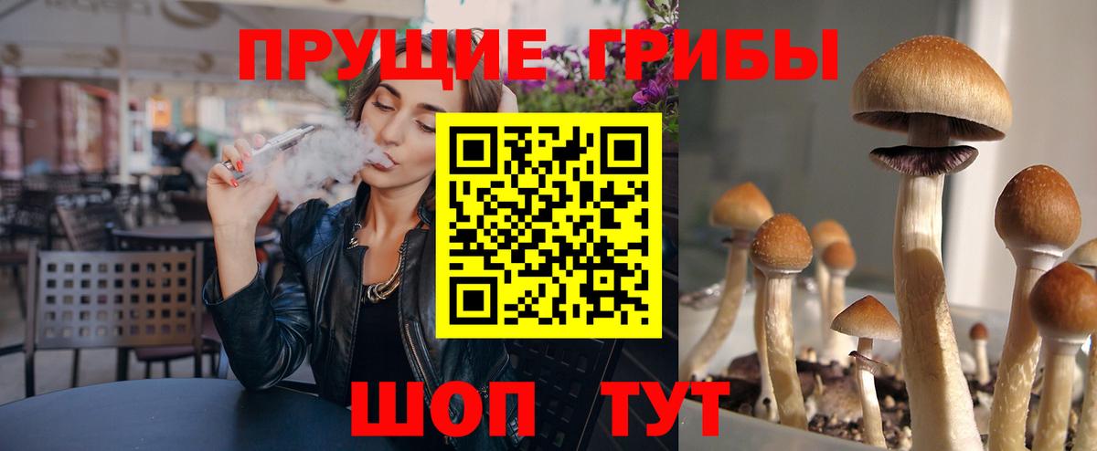 Галлюциногенные грибы мухоморы Гай