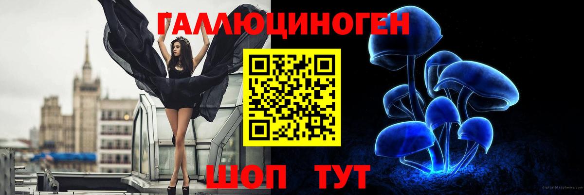 Гай  Псилоцибиновые грибы GOLDEN TEACHER  где найти наркотики  Вход с VPN  Галлюциногенные грибы Psilocybine cubensis 